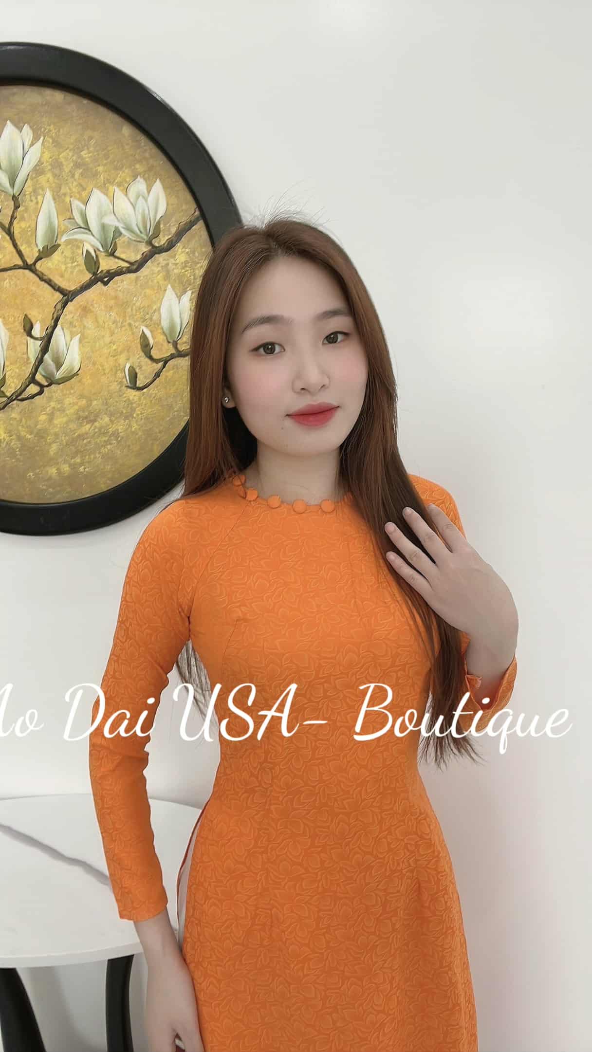 Ao Dai Lua To Tam Tuyet Lien: Vietnamese Traditional Long Dress, No Pants TT85