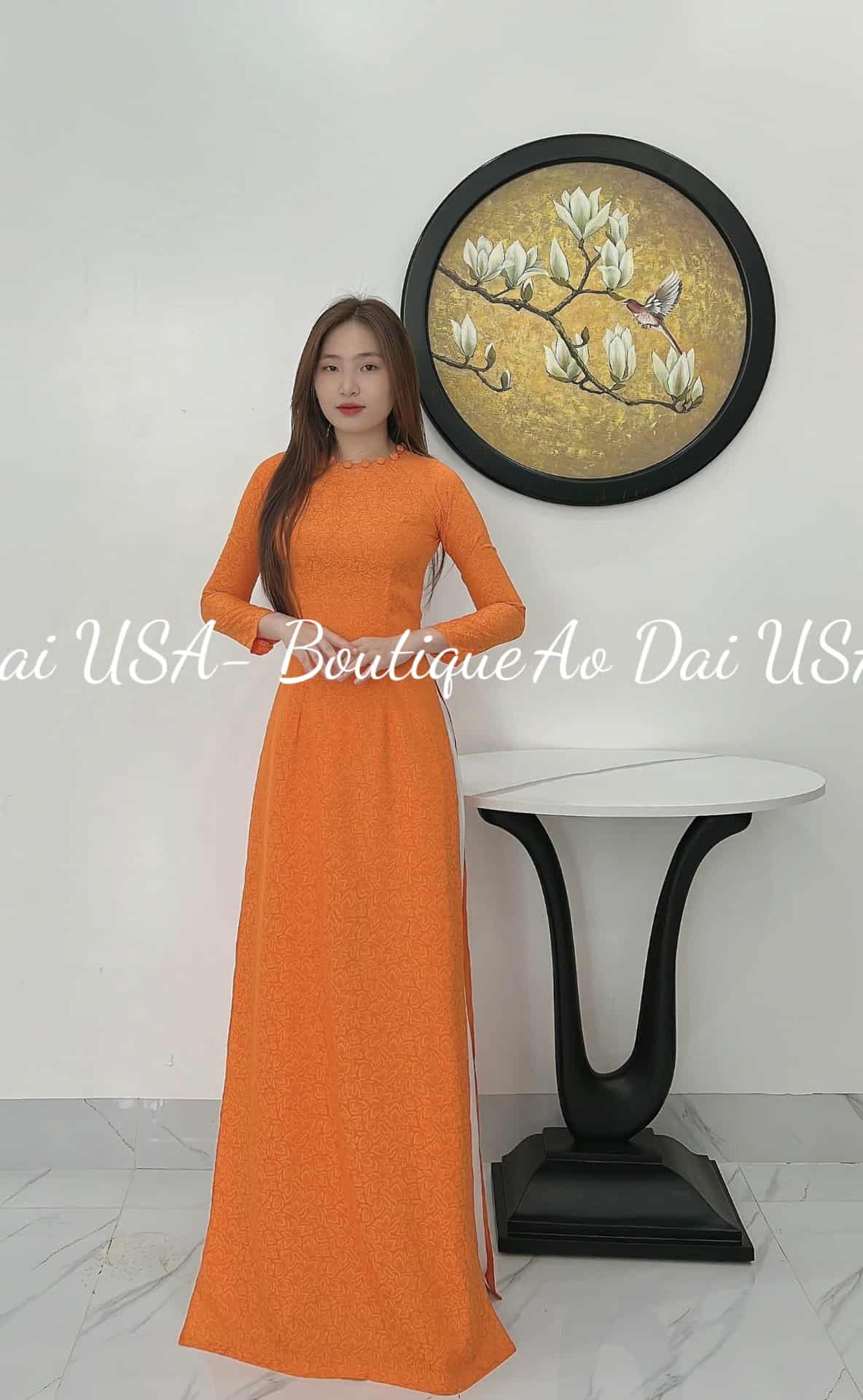 Ao Dai Lua To Tam Tuyet Lien: Vietnamese Traditional Long Dress, No Pants TT85