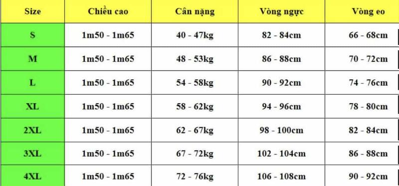 Hand Beaded Purple Ao Dai Set: Vietnamese Traditional Dress/ DS43